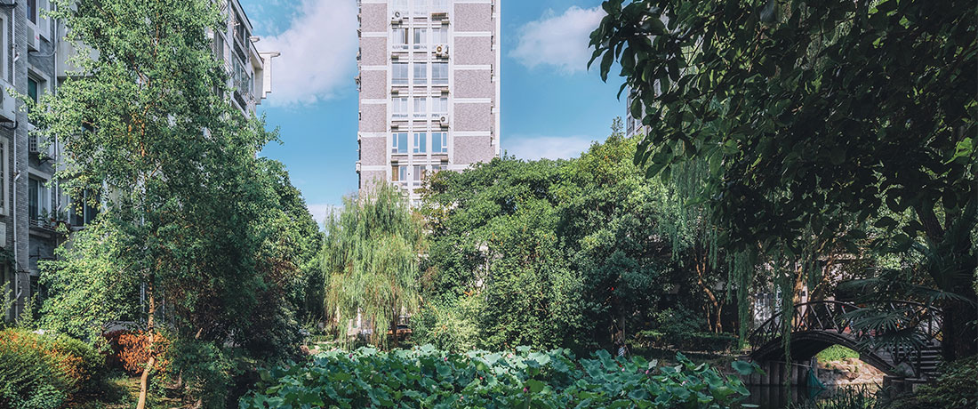 今年会 | 官方网站